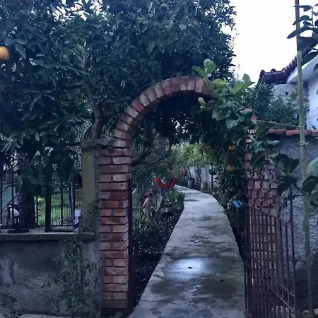Comfy House 5 Minutes From City Center *