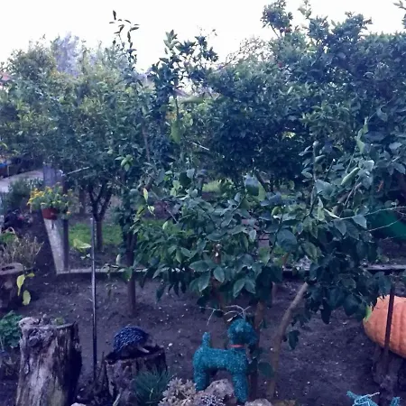 Affittacamere Comfy House 5 Minutes From City Center *
